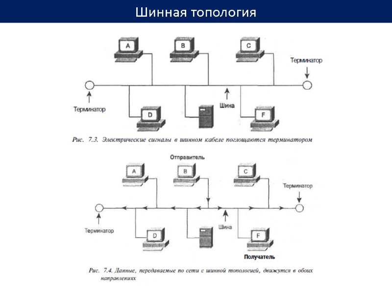 Шинная топология